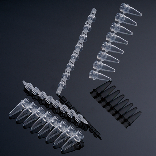 PCR 八連管